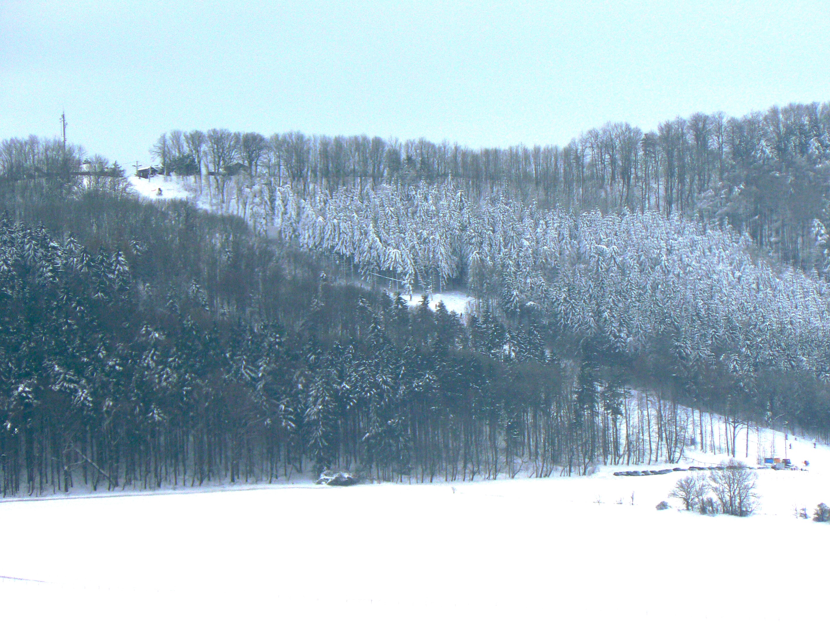 P1070559.JPG